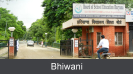 Bhiwani city